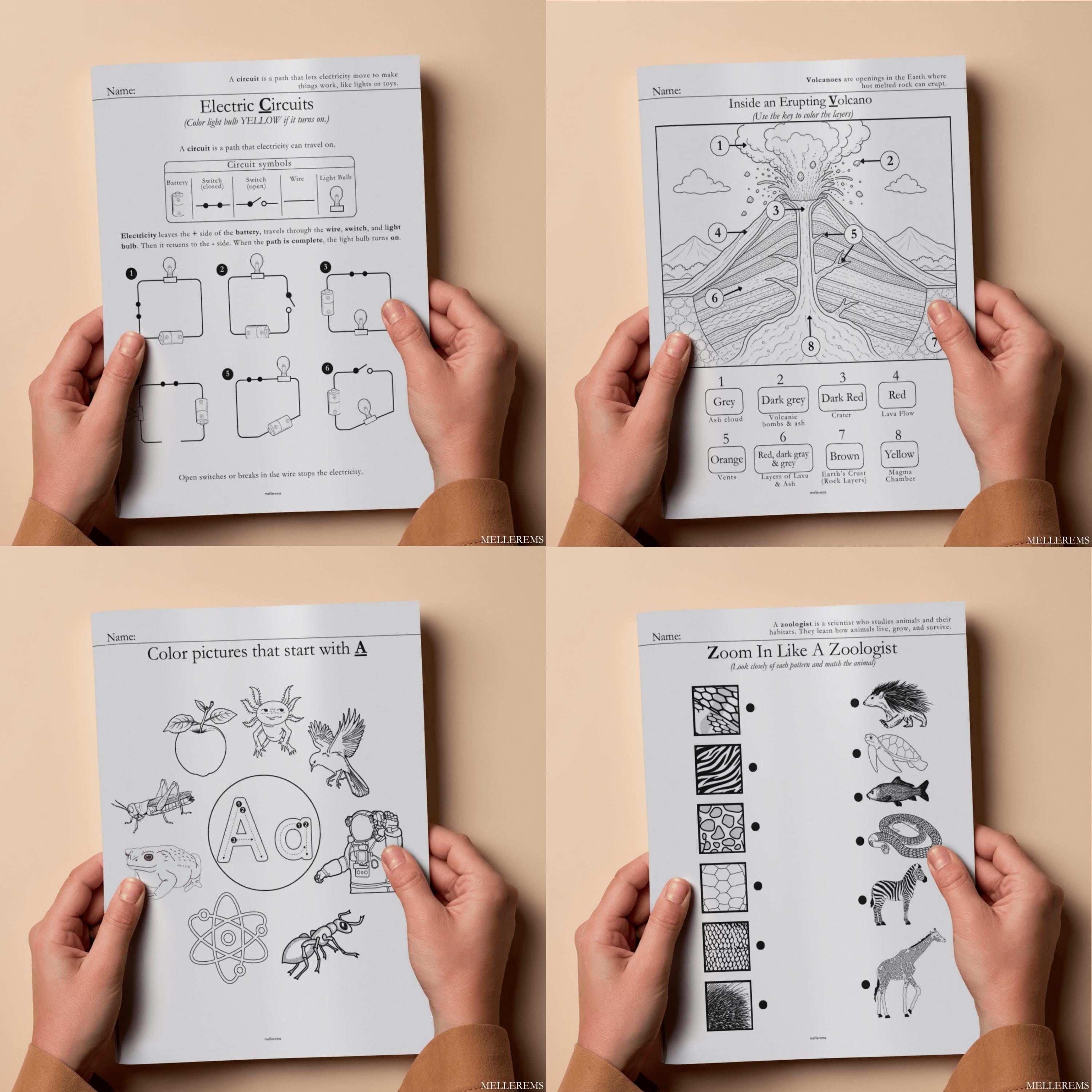 Science Activity Science Worksheet Science Worksheets, Monthly A-Z, Montessori Activity, Pre-k + Workbook ...