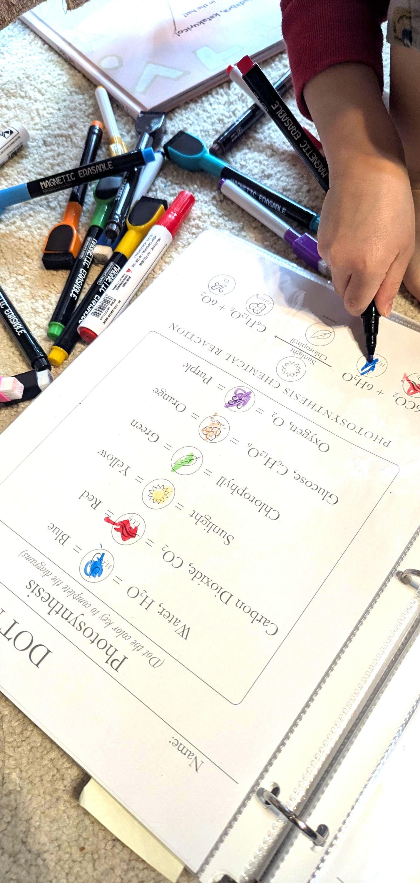 Science Dotter Worksheet.pdf Science Worksheets, Montessori Activity, Do a Dot Coloring, Pre-k+ ...
