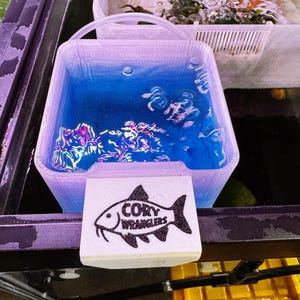 May include: A clear, rectangular container filled with blue liquid and bubbles. A white sign with a black fish illustration and the text "CORY WRANGLERS" is in front of the container. The container has a handle and is in a larger tank.