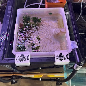 Op de afbeelding: Een rechthoekig aquarium met water, planten en een bruisende beluchter. De tank wordt ondersteund door een zwart metalen frame. Witte plastic clips met de tekst "CORY WRANGLERS" zijn aan het frame bevestigd.