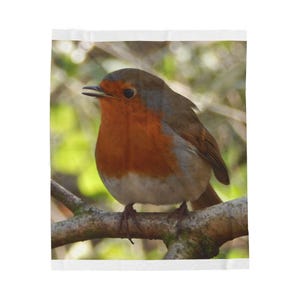 Plush Blanket, Robin Design - Soft and Cozy Throw, Bedroom Decor, Home Accent, Gift for Nature Lovers, Holiday Present