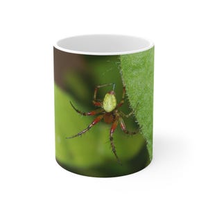 Mug, Colourful Spider Ceramic Coffee Cups, 11oz, 15oz. Great gift for spider lovers. Perfect for Halloween, birthdays, and special