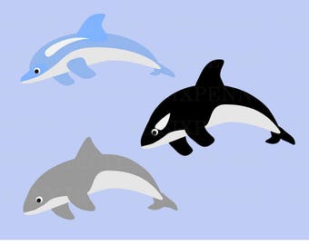 Dolphin Clip art, Orca Clip art, Porpoise Clip art, Killer Whale Clip art, Ocean Mammals Clip art, Digital Download, Commercial Use