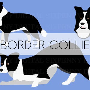 Border Collie Clipart, Digital Image, Printable Border Collie Art, Border Collie Herding, Border Collie Portrait