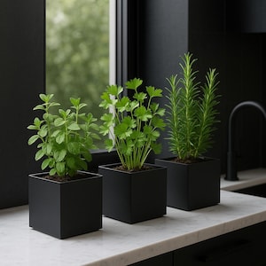 Op de afbeelding: Drie vierkante zwarte plantenbakken met kruiden staan op een wit aanrechtblad. De planten omvatten munt, peterselie en rozemarijn. De keuken heeft zwarte kasten en een zwarte kraan. Het raam biedt uitzicht op groen gebladerte.