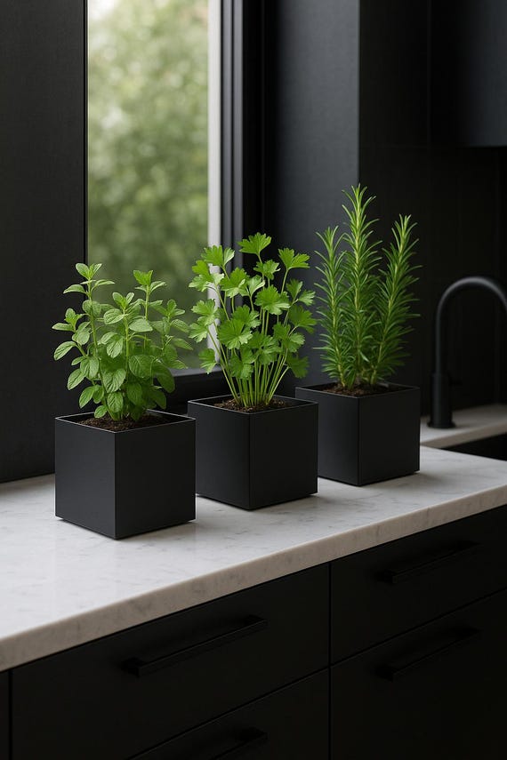 Moderner Metall Blumentopf Schwarz, Minimalistischer Pflanztopf, Dekotopf Indoor Outdoor, Made in Germany
