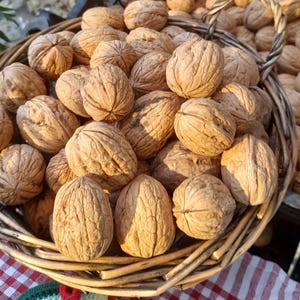 Organic Walnut Kernels 500 gr: Fresh, Healthy Snack