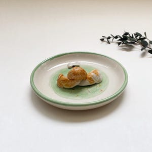 May include: A ceramic plate with a green and white design, featuring a cluster of stylized, brown and white mushrooms. The plate has a light green rim and a small, gray bone-shaped accent.
