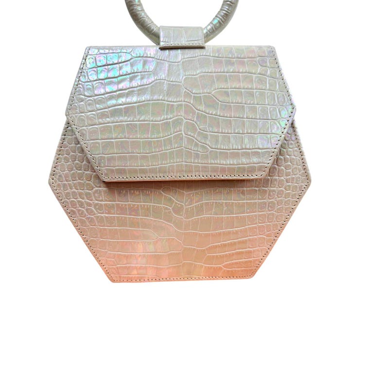 Anima Iris Zaza Hexagon Bag Iridescent Croc Leather Quiet Luxury Purse image 5
