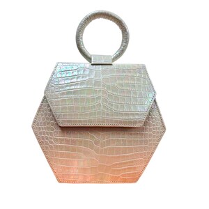 Anima Iris Zaza Hexagon Bag Iridescent Croc Leather Quiet Luxury Purse image 6