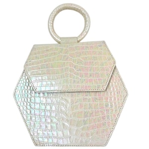 Anima Iris Zaza Hexagon Bag Iridescent Croc Leather Quiet Luxury Purse image 1