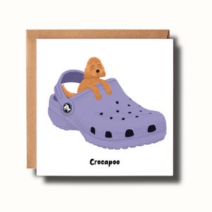 May include: A greeting card showing a lilac Croc shoe with a brown dog inside. The dog is a poodle mix. The text "Crocapoo" is printed in black at the bottom of the card. The card is on a brown background.