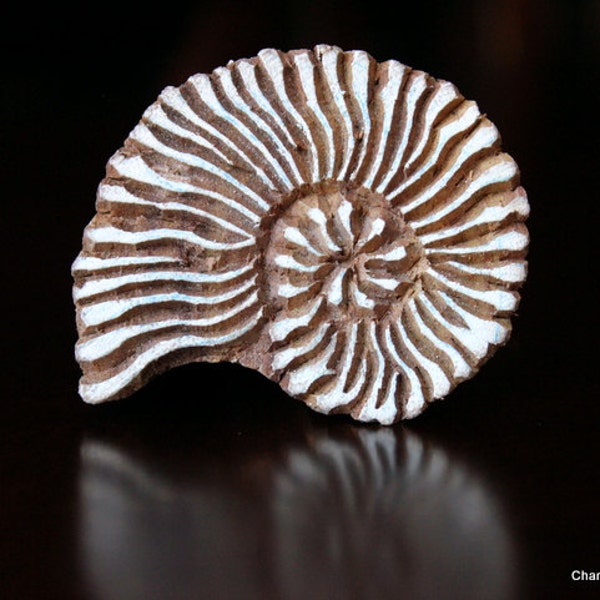 Hand Carved Indian Wood Textile Stamp Block- Shell