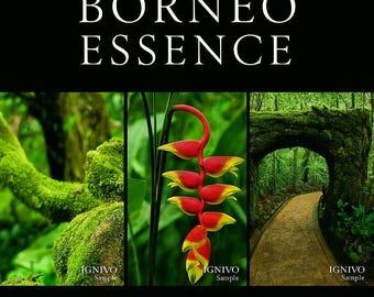 Borneo Essence - 9 Tropical Nature Photos | Digital Download | Kinabalu Park, Rainforest, Jungle, Moss, Waterfall, Mountain, Texture Pack
