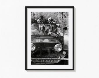 Póster de Brigitte Bardot con perros, arte mural en blanco y negro con animales divertidos, impresión vintage, impresiones fotográficas, impresión fotográfica con calidad de museo