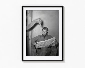 Impression de journal de lecture d'autruche, art mural noir et blanc animal drôle, impression vintage, tirages de photographie, impression de photo de qualité musée