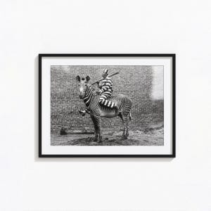 May include: Black and white framed print featuring a zebra with a person riding it. The person is wearing a striped outfit and holding a bat. The background is a brick wall.
