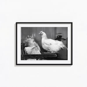 Puede incluir: Fotografía enmarcada en blanco y negro de un bebé en una trona mirando a una gran gallina blanca. La gallina está de pie sobre una bandeja frente al bebé. El fondo es un interior borroso.