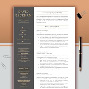 May include: A professional CV template with a dark grey sidebar and white main section. The CV includes sections for professional summary, work experience, projects, and education. A black pen and paper clips are on the peach-coloured background.