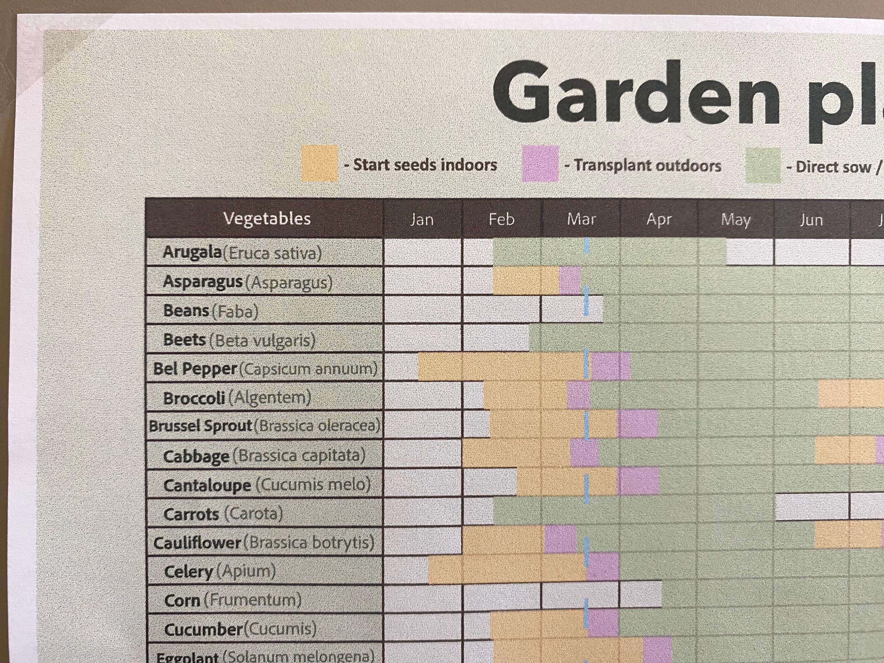 Zone 8 Garden Planner: Printable Planting Calendar (PDF Download A4) - Etsy