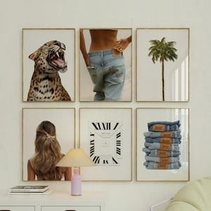 Puede incluir: Seis impresiones artísticas enmarcadas. Fila superior: un leopardo rugiente, una persona en jeans azules y una palmera. Fila inferior: una persona con cabello largo, un gráfico de reloj y una pila de jeans.