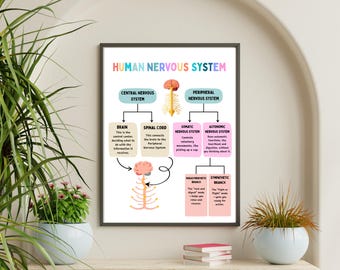 Poster sul sistema nervoso umano, stampa per l'aula di scienze, decorazione per ufficio di terapia, arte murale di psicologia, risorsa di consulenza, tabella anatomica