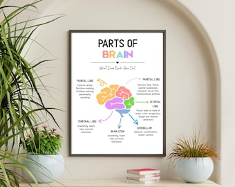 Parts of the Brain Poster, Educational Wall Art, Psychology Decor, Teacher Resource, Neuroscience Print, Student Learning, Homeschool