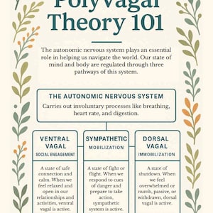 K&ouml;nnte beinhalten: Lehrreiche Infografik mit dem Titel "Polyvagal Theory 101", die das autonome Nervensystem und seine drei Wege erkl&auml;rt: Ventral Vagal, Sympathische Mobilisierung und Dorsal Vagal. Das Design beinhaltet einen floralen Rahmen.
