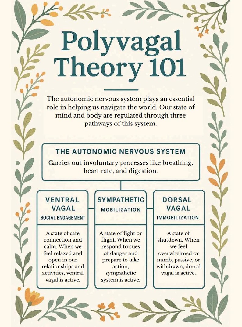 K&ouml;nnte beinhalten: Lehrreiche Infografik mit dem Titel "Polyvagal Theory 101", die das autonome Nervensystem und seine drei Wege erkl&auml;rt: Ventral Vagal, Sympathische Mobilisierung und Dorsal Vagal. Das Design beinhaltet einen floralen Rahmen.