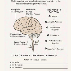 K&ouml;nnte beinhalten: Beige-wei&szlig;e Infografik mit dem Titel &bdquo;Brain & Anxiety Map&ldquo; mit einer Darstellung des Gehirns und des Angstpfads. Die Grafik enth&auml;lt Textfelder zum Erfassen von Angstreaktionen und Entspannungstechniken.