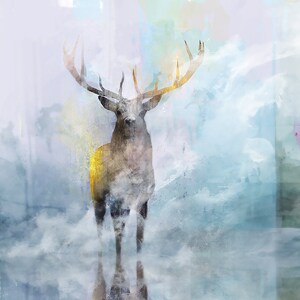 Stag Journey 01: LIMITED EDITION 30