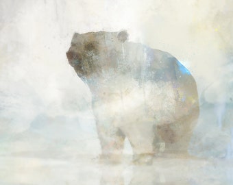 Bear Winter 01: Giclee Fine Art Print 13X19