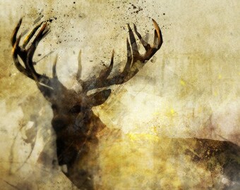Calm Deer 04: Giclee Fine Art Print