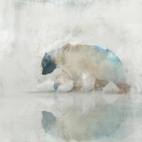 Bear Spring 003: Giclee Fine Art Print