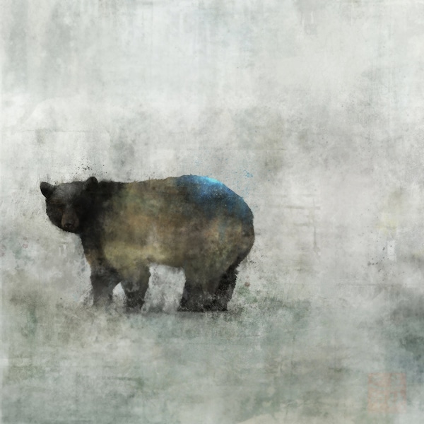 Bear Spring 02: Giclee Fine Art Print