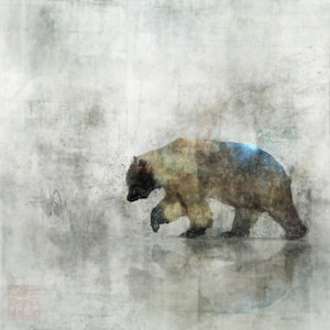 Bearspring 03: Giclee Fine Art Print image 1
