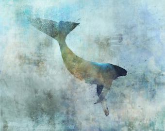 Sea Whale 01: Giclee Fine Art Print