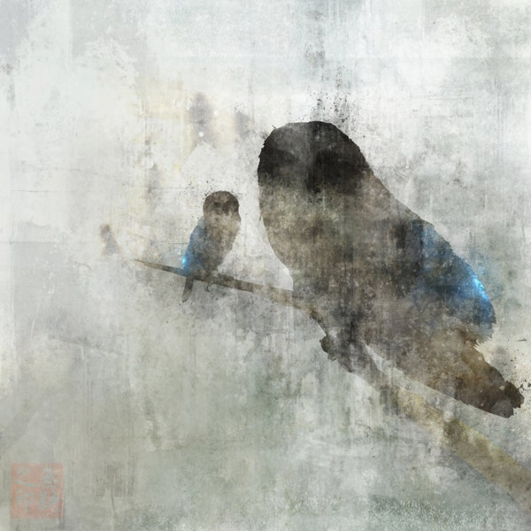 Owl Night 02: Giclee Fine Art Print