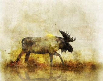 Happy Moose 02: Giclee Fine Art Print