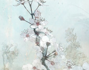 Cherry Blossom Series 01: Giclee Fine Art Print (2 Prints)