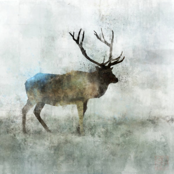 Reindeer 01: Giclee Fine Art Print