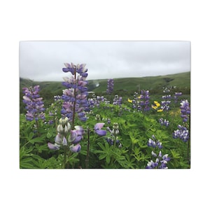 Floral Canvas Wall Art, Home Décor, Nature Lover Gift, Indoor Garden Wall Decor, Purple Flower Print