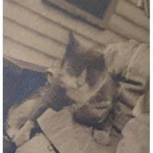 May include: A set of three ceramic mugs with a speckled, matte finish. The mugs are in shades of cream, light gray, and dark gray. Each mug has a simple, minimalist design and a rounded handle.