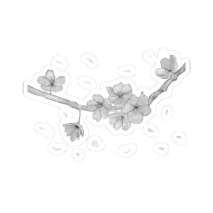 Floral Sticker - Cherry Blossom - Japan, Japanese Art, Japanese Flower - Black & White - Watercolor - Sticker