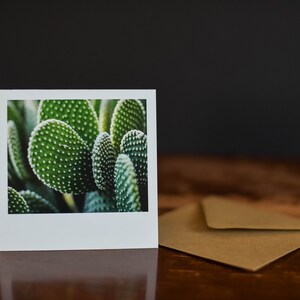 Succulent--Single square photography greeting card (Blank on the inside)