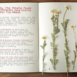 Op de afbeelding: Een open notitieboek met cr&egrave;mekleurige pagina's. De linkerpagina bevat gedrukte tekst met de titel Why The Mindful Pause is Different (and Exactly What You Need): met opsommingstekens. De rechterpagina toont vier gedroogde witte madeliefjes.