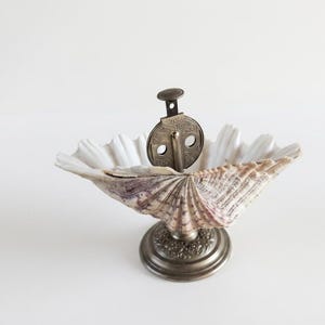Op de afbeelding: Een decoratieve schaal gemaakt van een natuurlijke, geribbelde schelp met een witte binnenkant en een getextureerde, bruingrijze buitenkant. De schelp is gemonteerd op een ronde, sierlijke metalen voet in antieke stijl met een bijpassend middenstuk.
