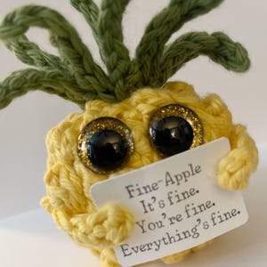 Fine Apple Amigurumi with Gift Box, Pineapple, Crochet Pineapple, Plush, Emotional Support, Self Care, Special Gift, Crochet, Kawaii