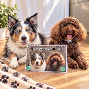 Może przedstawiać: Kalendarz biurkowy na 2027 rok z napisem Team Pawsome, zawierający zdjęcie owczarka australijskiego blue merle oraz brązowego pudla z kręconą sierścią. Kalendarz znajduje się przed dwoma psami, które patrzą bezpośrednio w stronę aparatu.