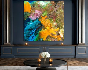 Cozumel Korallenriff Foto | Lebendige Unterwasserwelt Druck | Meerestiere Digitaler Download | Ocean Wand Kunst | Tropisches Tauchglas Fotografie